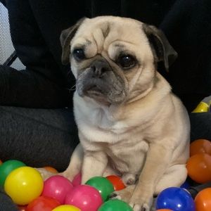 Meet your Posher, Kate